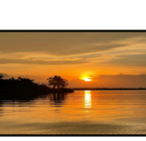 Los niños de Ologá: Las luces y sombras del Catatumbo